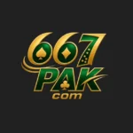 667PAK Game apk featured image