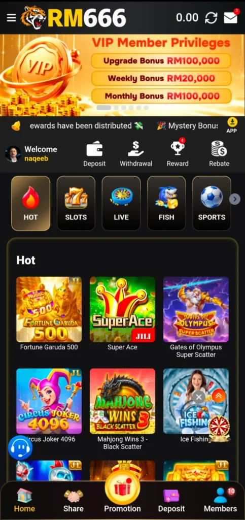 Home Page image of RM666 Game